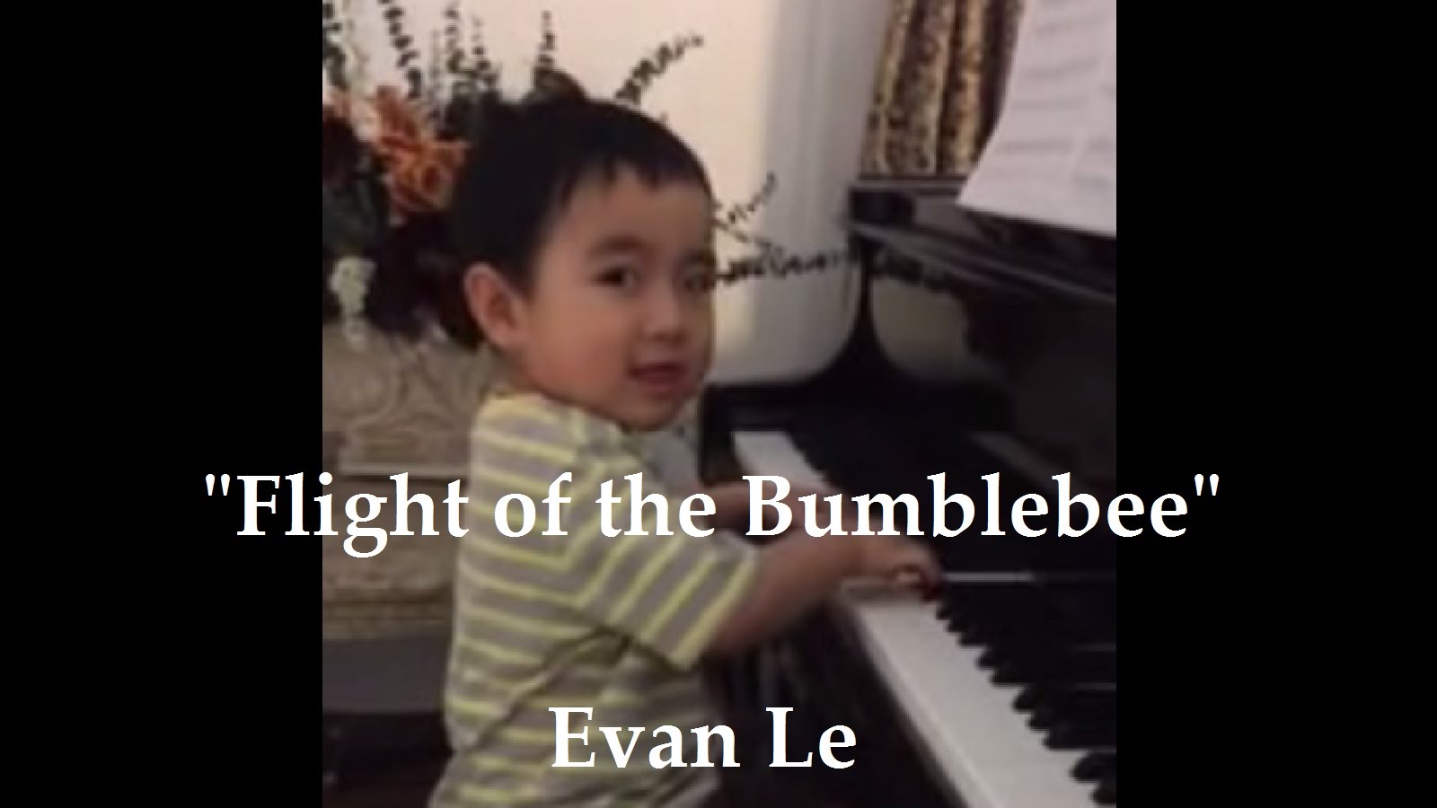 Flight of the Bumblebee – Evan Le