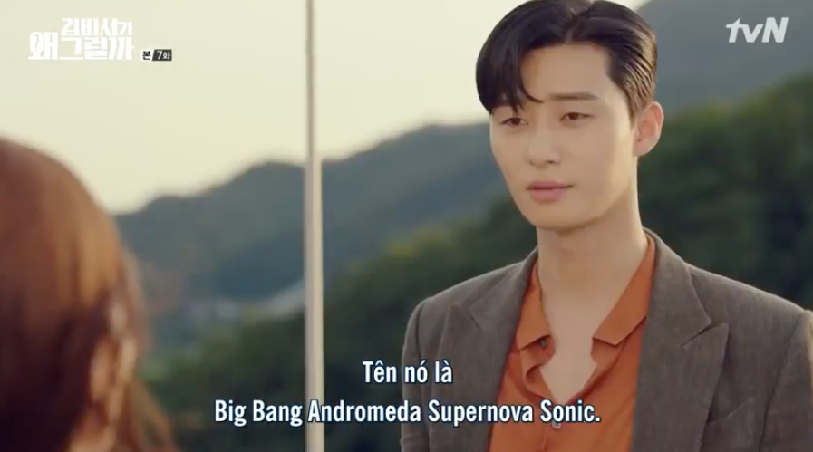 Hết cả hơi để đọc được tên chú chó của Phó chủ tịch Park Seo Joon: Big Bang Andromeda Supernova Sonic - Ảnh 5.