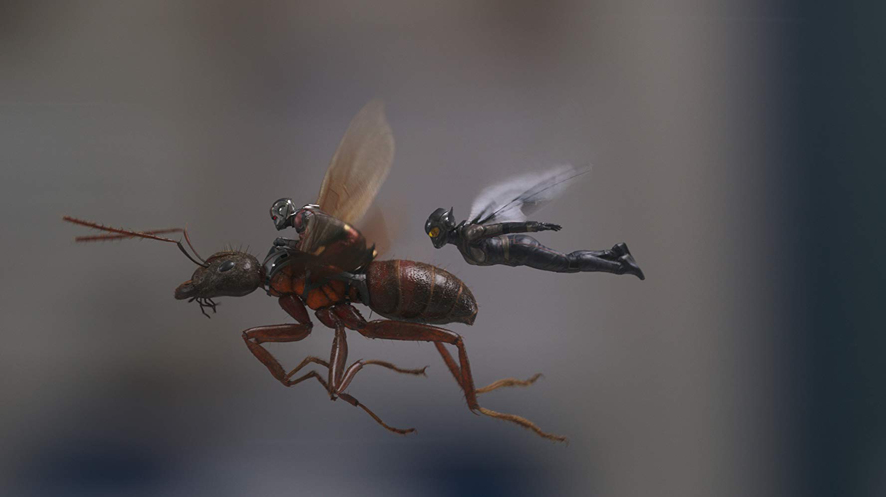 “Ant-Man and the Wasp”: Khi mỹ nhân ra tay cứu anh hùng trong cuộc chiến vắng bóng kẻ ác - Ảnh 5.